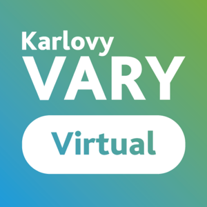 VaryVirtual 1.0