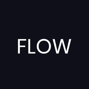 Flow 1.0