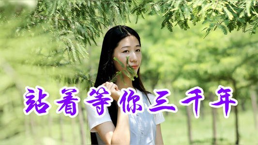 全網最火爆的愛情歌曲,莫過於王琪的《站著等你三千年》